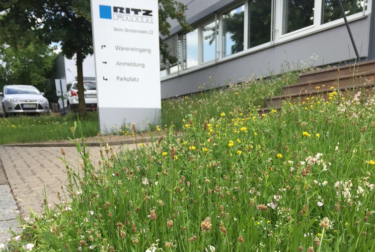 Wildblumen_755x509px